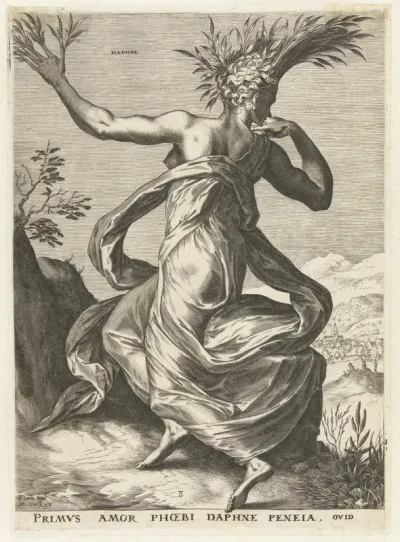 Daphne