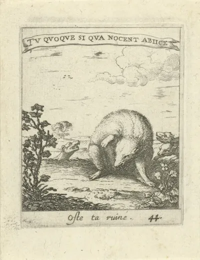 Das ontsnapt aan wolven