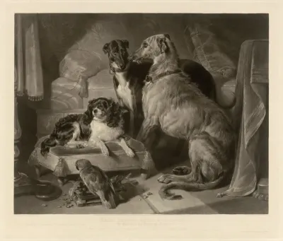 "Dash, Hector, Nero, & A Lory."