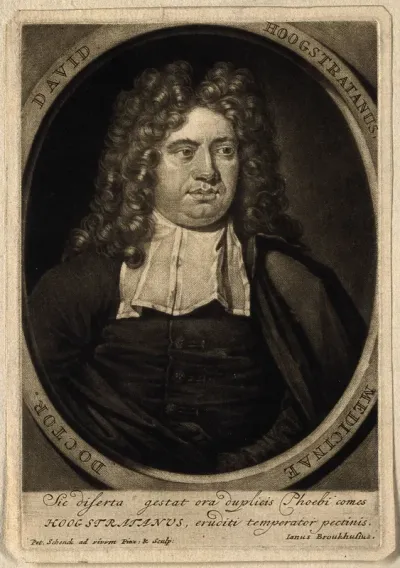 David Hoogstraten