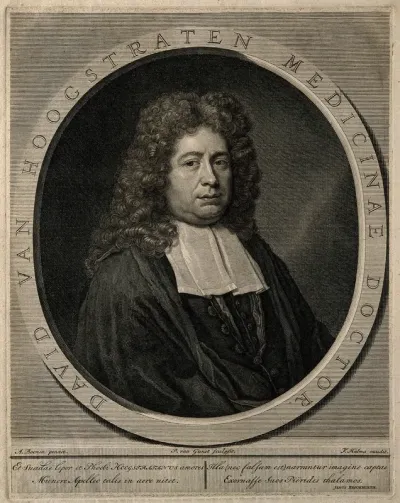 David Hoogstraten