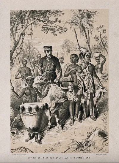 David Livingstone, suffering from fever, going through the African jungle to Shinte on the back of an ox