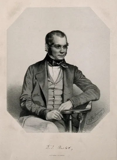 David Thomas Ansted