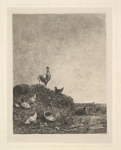 Dawn: The Cock's Crow