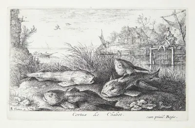 Døbel (Cortus)