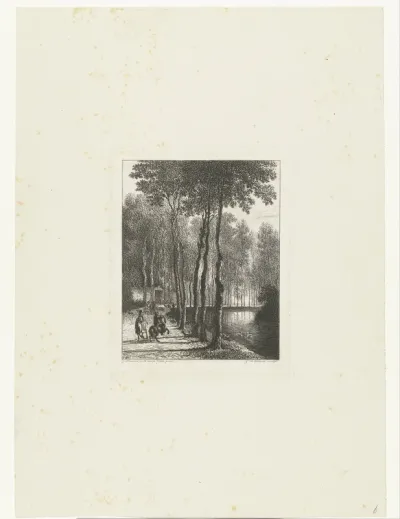 De berkenlaan