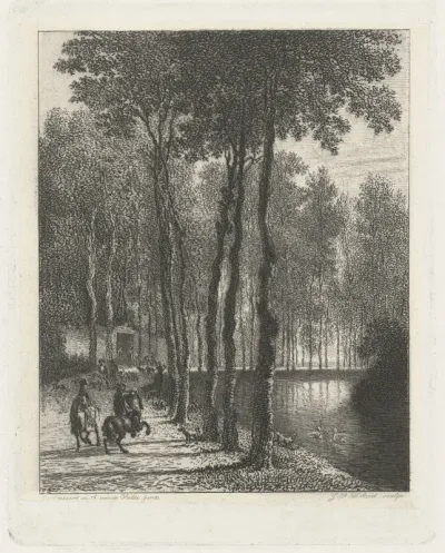 De berkenlaan