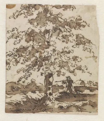 De beuk