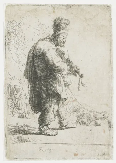 De blinde violist