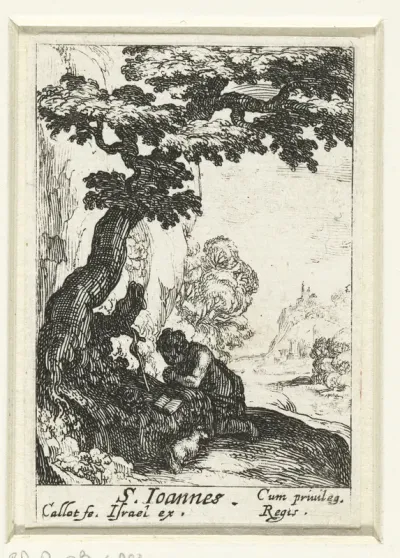 De boetvaardige Johannes de Doper