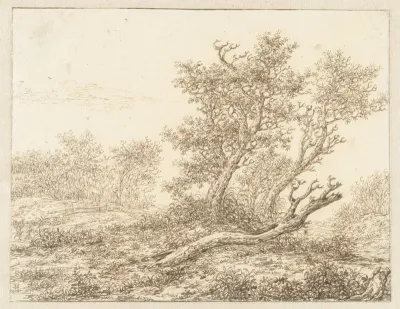 De dode boom