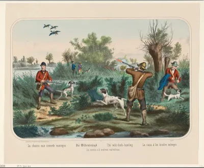 De eendenjacht