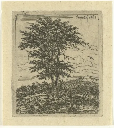 De eiken