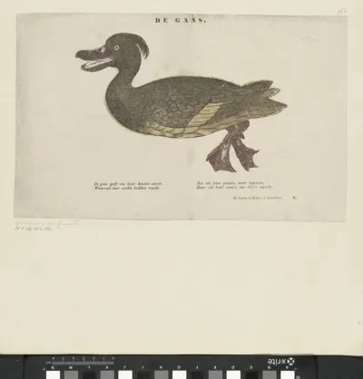 De gans