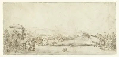 De gestrande potvis te Noordwijk in 1629
