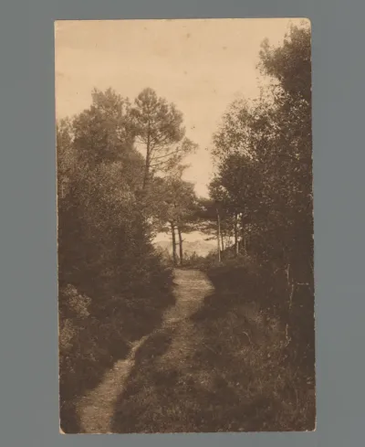 De grensweg in de duinen tusschen Bergen en Schoorl