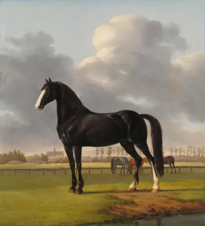 De harddraver De Vlugge van Adriaan van der Hoop in de wei