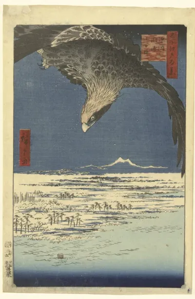 De Jumantsubo vlakte te Susaki bij Fukagawa