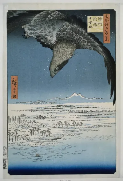 De Jumantsubo vlakte te Susaki bij Fukagawa