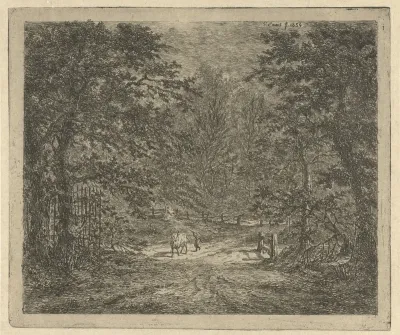 De koe in het Bentheimsche bosch
