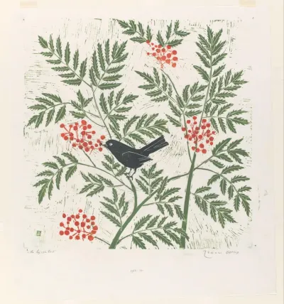 De lijsterbes