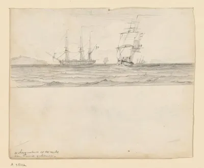 De rede van Tunis