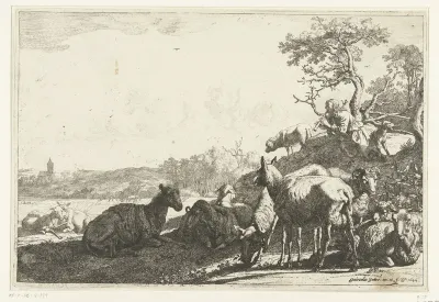 De schaapherder