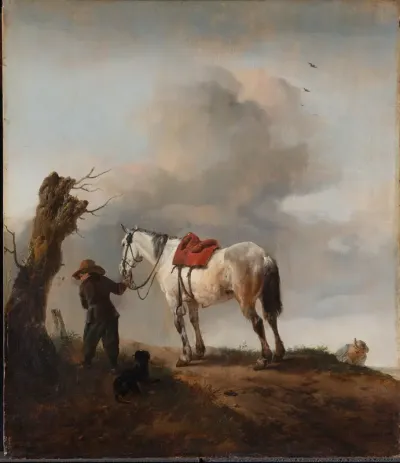 De schimmel