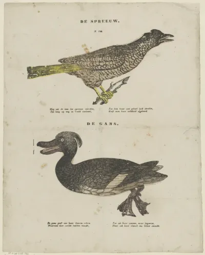 De spreeuw / De gans