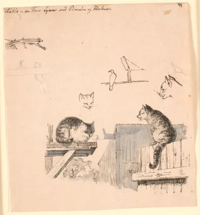 De to katte. F.o. studier af kattehoveder, en fugl, et katteøre og bjælke-værk. Illustration til Kaalunds "Fabler for Børn". Se kommentar fra arkkatalog.