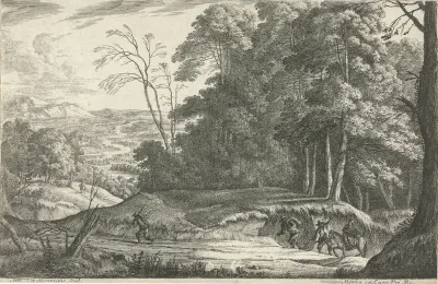 De weg langs de rand van het bos