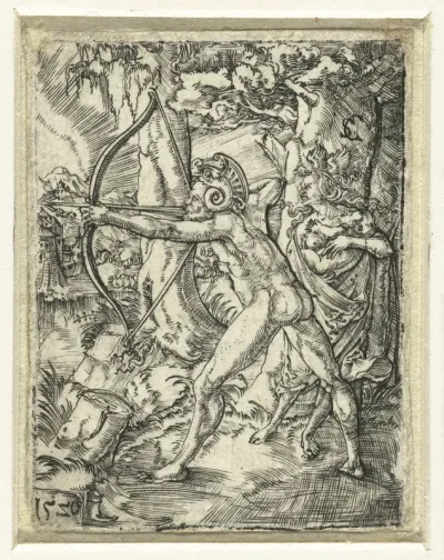 De wilden