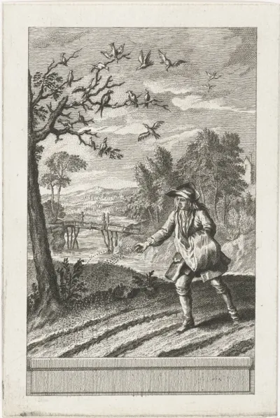 De zwaluwen en de vogeltjes