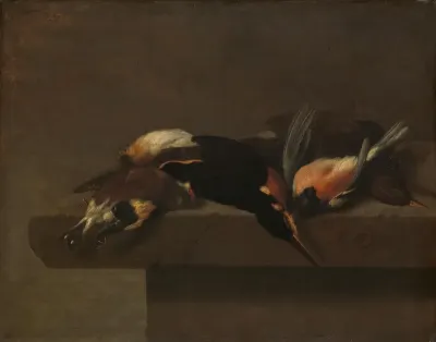Dead Birds