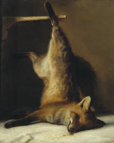 Dead Fox
