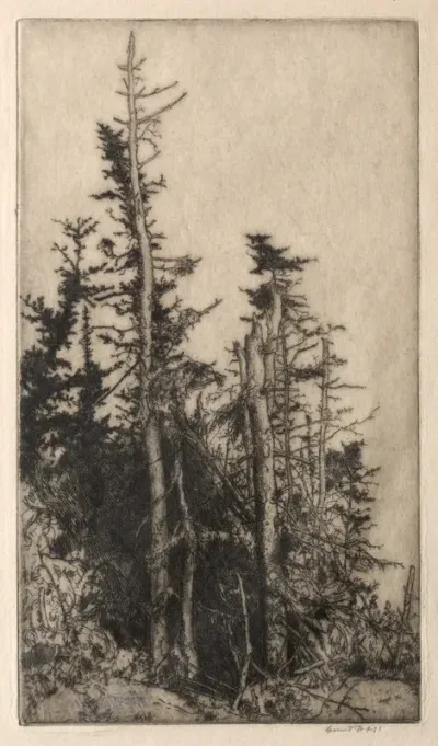 Dead Tree