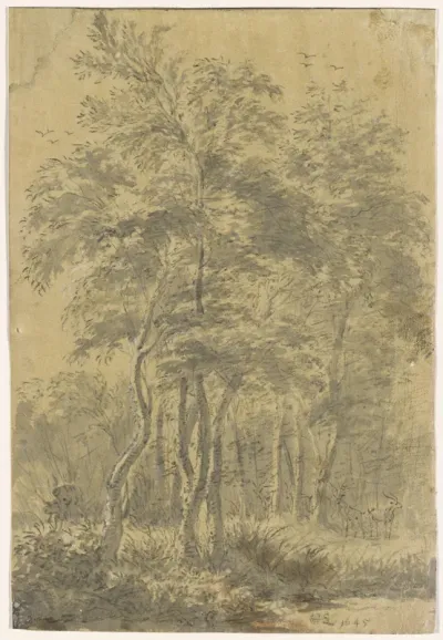 Deciduous Forest