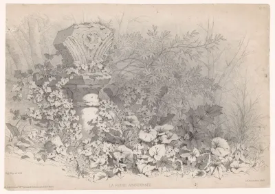 Deel van een ruïne met klimop en andere planten