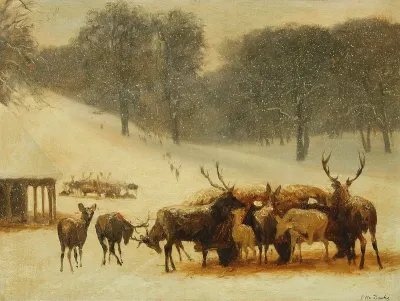 Deer by the wagon with hay, a snowy day in the Deer Park Copenhagen.