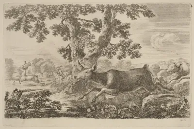 Deer Chased by a Dog to the Right