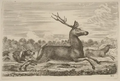 Deer Chased by Two Dogs to the Left
