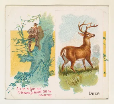 Deer, from Quadrupeds series (N41) for Allen & Ginter Cigarettes