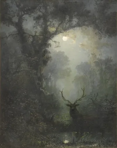 Deer in the Forest