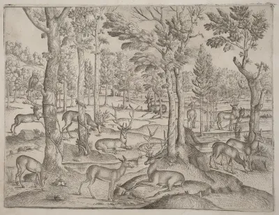Deer in the Forest
