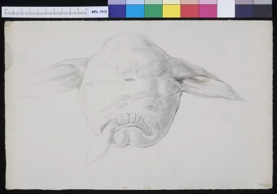 Deformed animal head