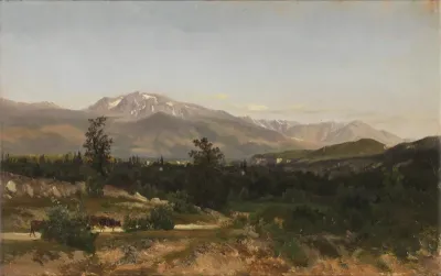 Delfinado