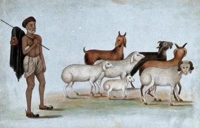 Delhi: a herdsman with his herd of sheep and goats