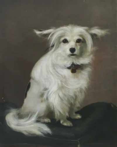 Della. Dog portrait.