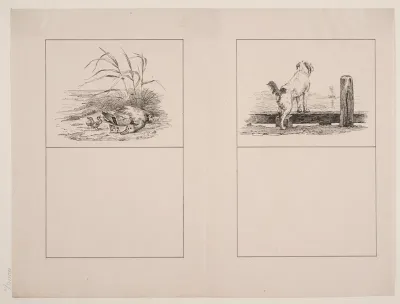 Den dræbte and; Hunden ved stranden