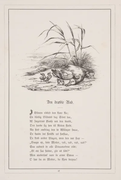 Den dræbte And. Illustration til H.V. Kaalund, "Fabler for Børn"